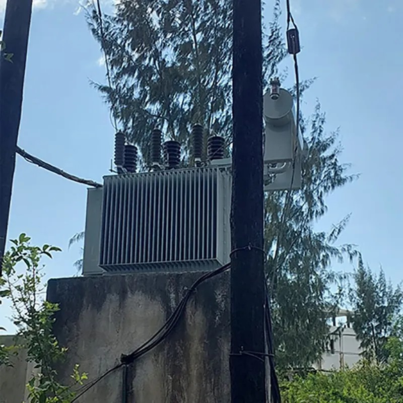 Oil immersed transformer project1.jpg